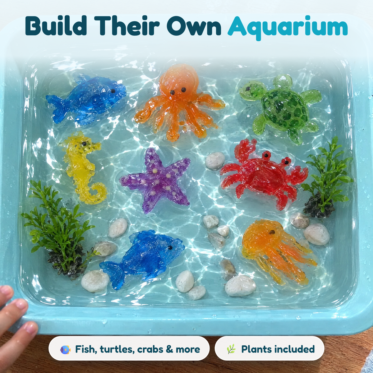 Build their own aquarium